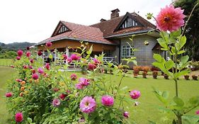 Bukit Lowick Bungalow