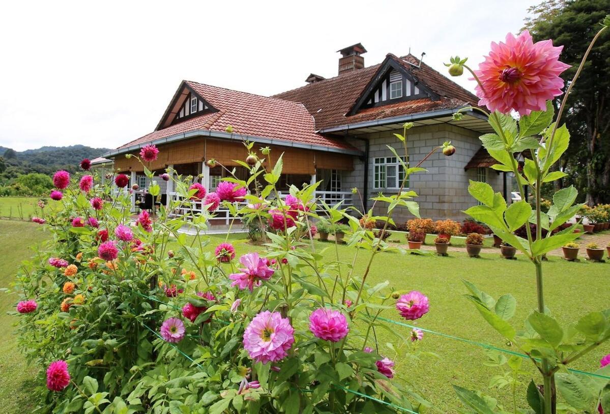 Bukit Lowick Bungalow Tanah Rata Luaran gambar